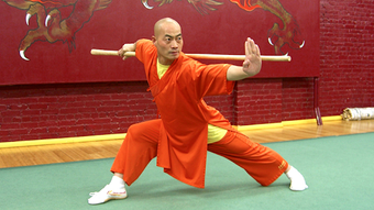 Image 3 for Learn Kung Fu