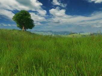 Image 0 for Grassland 3D Screensaver …