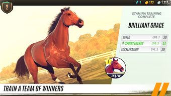 Image 0 for Rival Stars Horse Racing