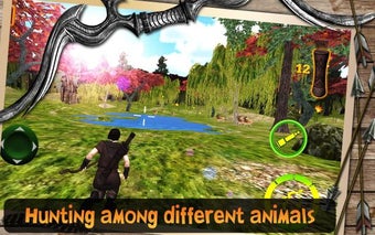 Image 0 for Bow Arrow Animals Quest