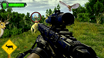 Image 2 for Deer Hunting American Sni…