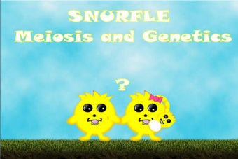 Image 0 for Snurfle Meiosis