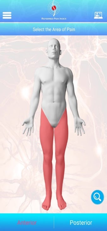 Image 0 for Referred Pain Index