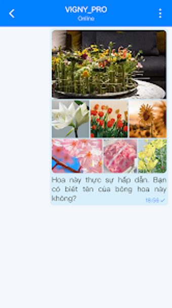 Image 0 for FFSAY
