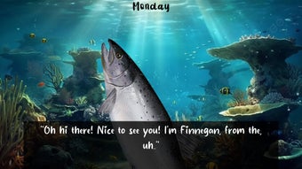 Image 0 for Plenty of Fish in the Sea