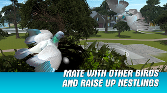 Image 0 for City Pigeon Simulator 3D