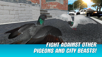 Image 2 for City Pigeon Simulator 3D