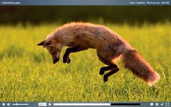 Image 0 for Twitch 5 for Windows 10