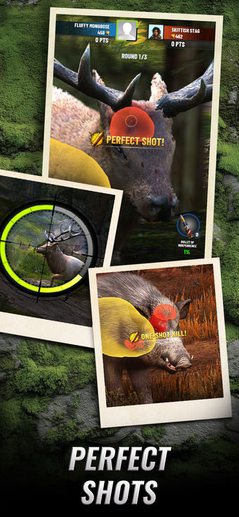 Image 0 for Trophy Hunter: Casual Hun…