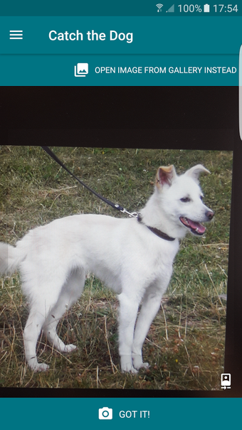 Imagen 1 para Dog Scanner