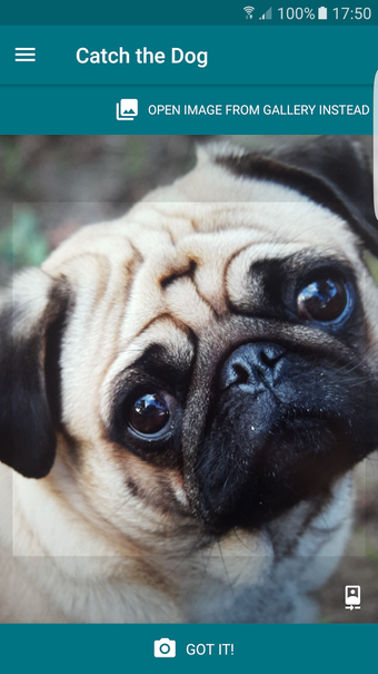 Imagen 3 para Dog Scanner