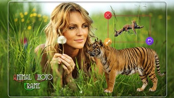 Image 2 for Wild Animal Photo Editor