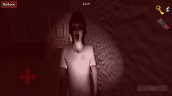 Image 0 for Slendrina : The Cursed Ho…