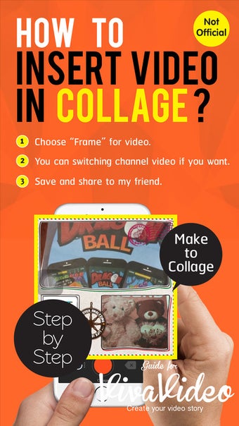 Imagen 1 para Guide for Viva Video Edit…