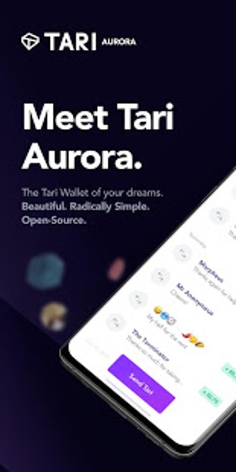 Image 3 for Tari Aurora