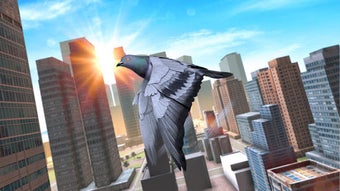 Image 0 for Wild Pigeon Bird City Sim…
