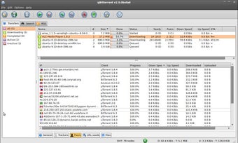 Image 2 for qBittorrent