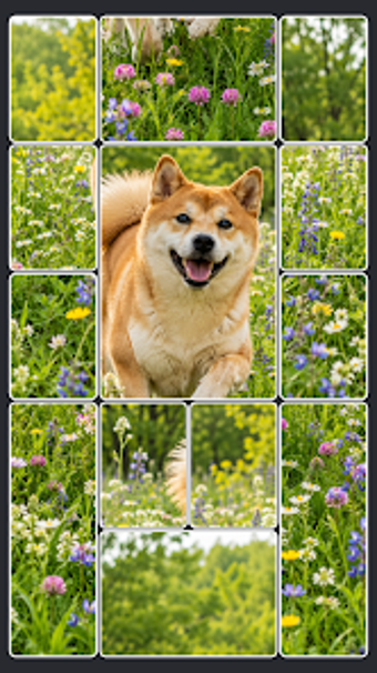 Image 0 for Solitaire Sort  Jigsaw Ga…