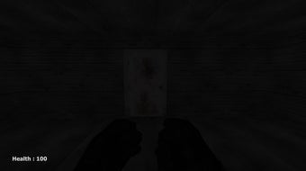 Imagen 0 para Silent Insanity P.T.