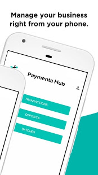 Image 0 for Payments Hub: Business Ma…