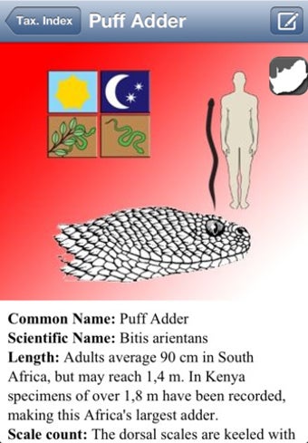 Image 1 for eSnakes of Southern Afric…