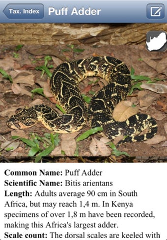 Image 2 for eSnakes of Southern Afric…
