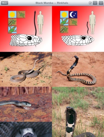 Image 0 for eSnakes of Southern Afric…