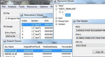 Image 0 for NPE File Analyzer