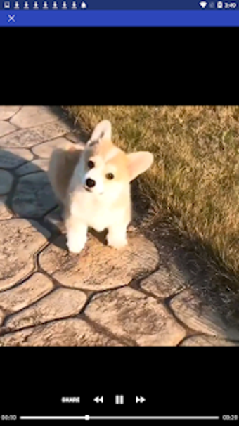 Imagen 2 para Video Downloader for Face…