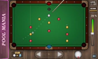 Image 2 for Pool Mania
