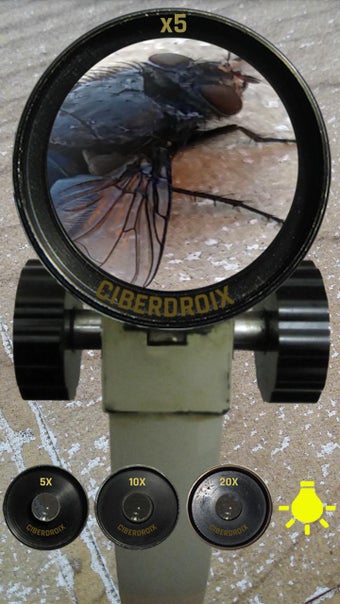 Imagen 2 para Microscope Realistic