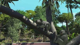 Image 1 for Zoo Tycoon: Ultimate Anim…