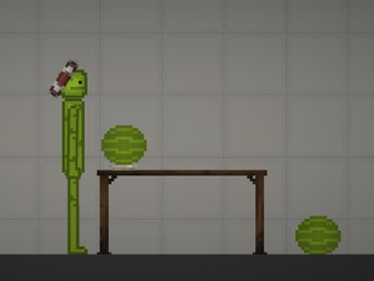 Image 0 for Melon Playground