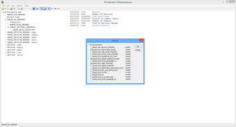 Imagen 0 para PE Internals