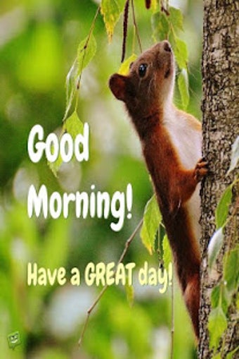 Image 3 for Good Morning Quotes With …