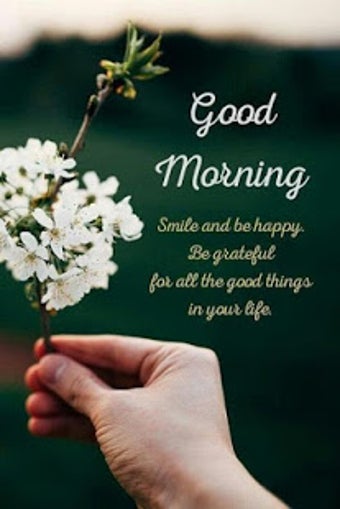 Image 0 for Good Morning Quotes With …