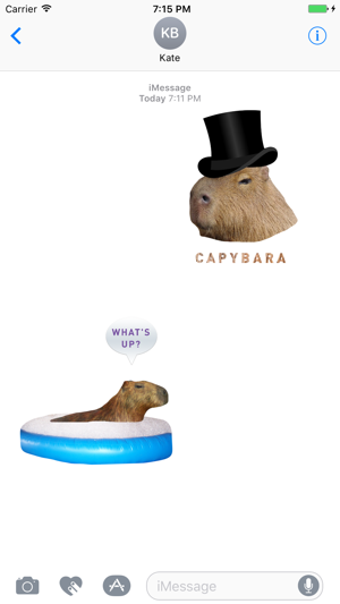 Image 0 for Capybara Stickers for iMe…