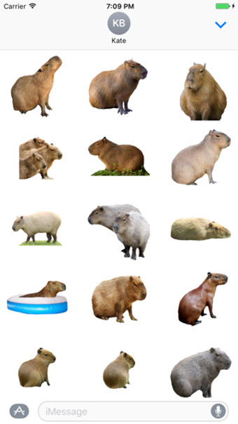 Image 2 for Capybara Stickers for iMe…