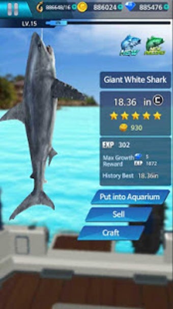 Imagen 1 para Fishing Championship