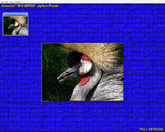 Imagen 2 para Big Birds