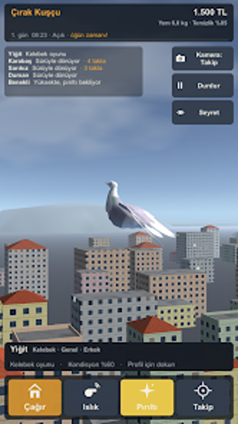 Imagen 0 para Güvercin Simülatörü