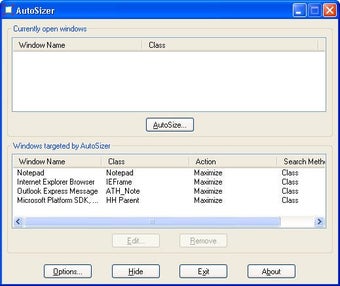 Imagen 0 para AutoSizer