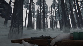 Imagen 0 para The Long Dark