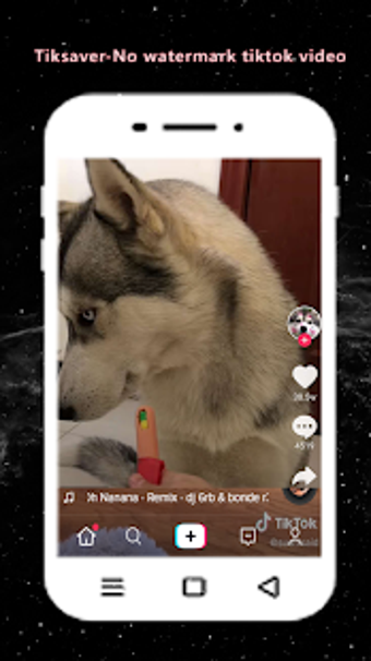 Imagen 2 para TikSaver-Video Downloader…