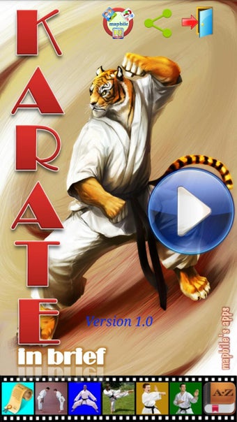 Image 1 for Karate in brief
