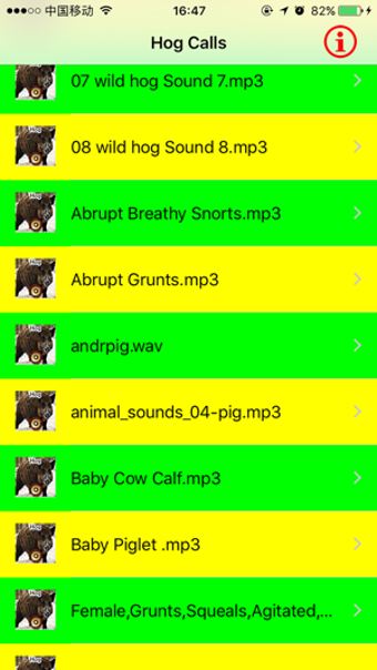 Image 3 for Real Hog Hunting Calls & …