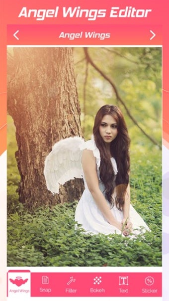 Image 1 for Angel Wings Editor