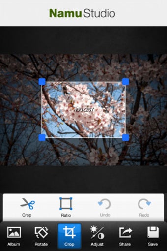 Image 3 for Photo Rotate & Crop