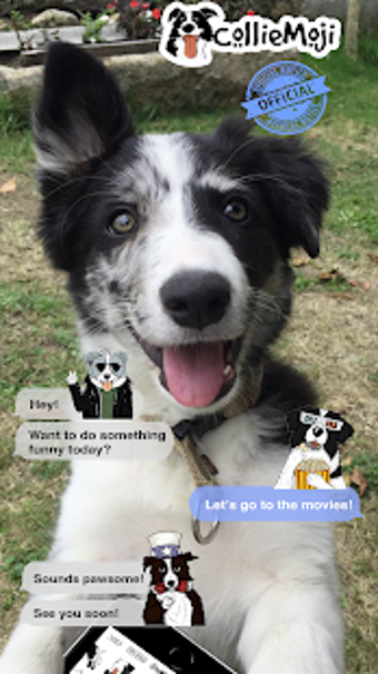Image 1 for CollieMoji - Border Colli…