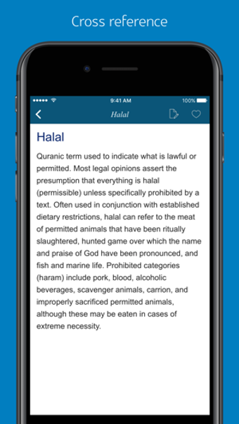 Image 0 for Islam Dictionary - combin…